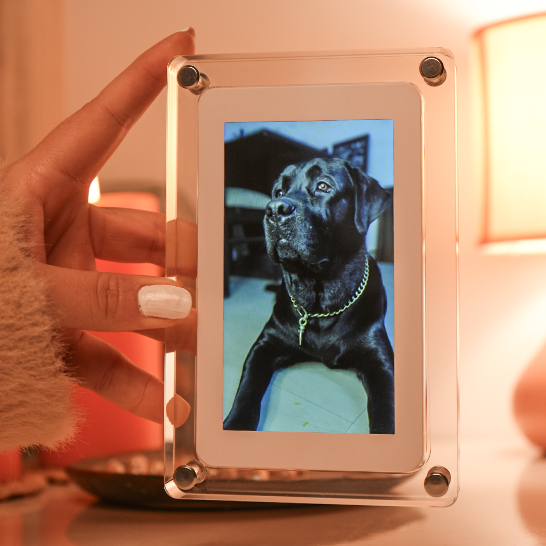 Digital Photo & Video Frame